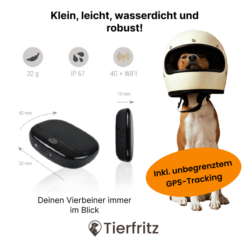 GPS Tracker